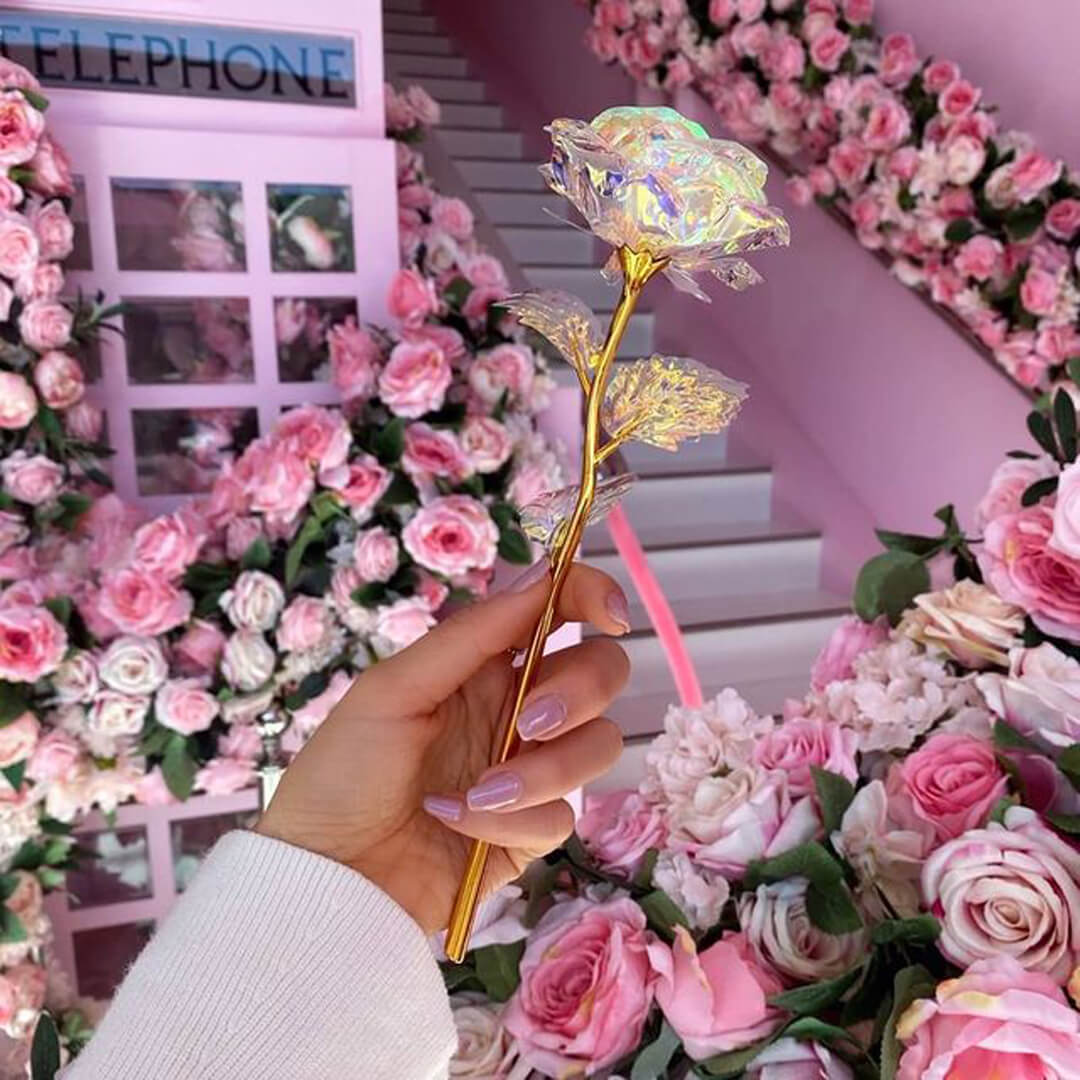 Coffret de fleurs Galaxy (4) Coffret de fleurs Galaxy 4 | The Luxury Box