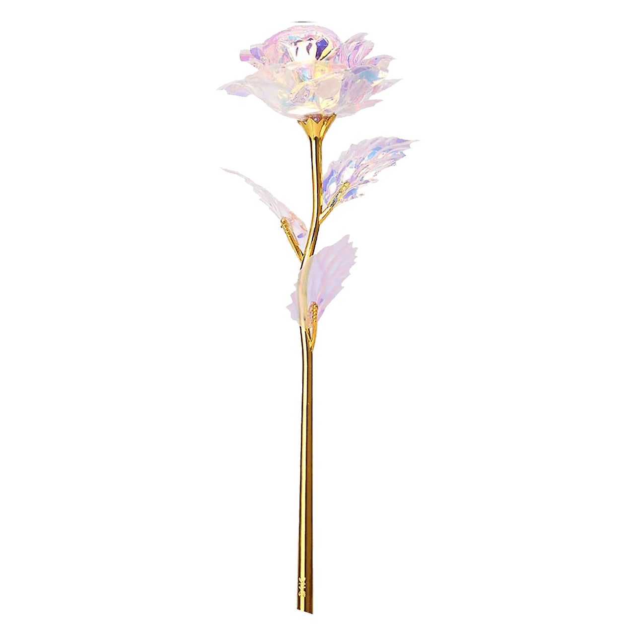 Galaxy-Flower-Love-Days Galaxy Flower Love Days | The Luxury Box