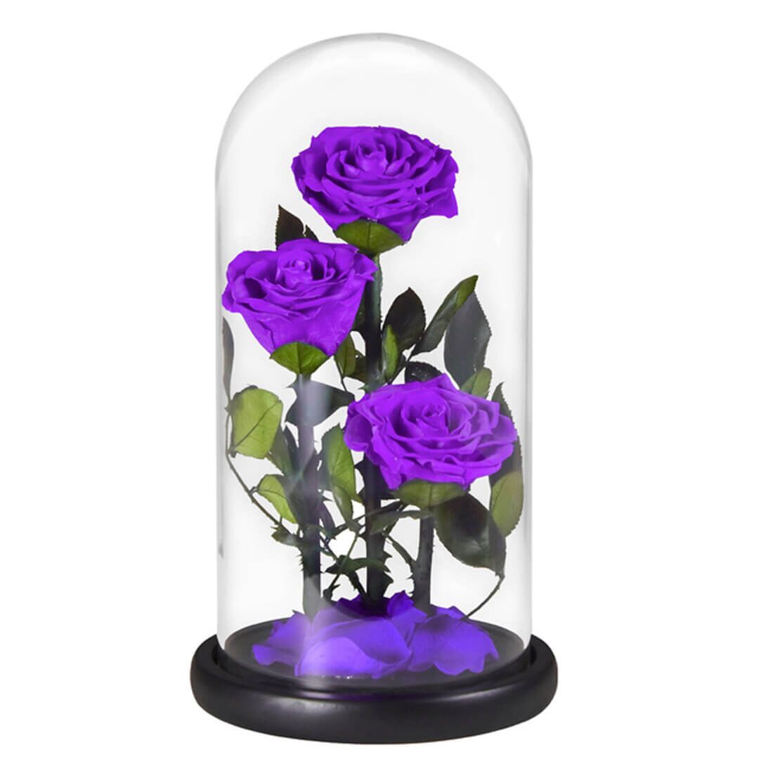 Grande Rose Sous Cloche (1) Grande Rose Sous Cloche 1 | The Luxury Box