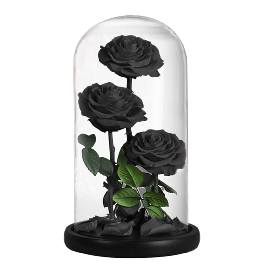 Grande Rose Sous Cloche (2) Grande Rose Sous Cloche 2 | The Luxury Box