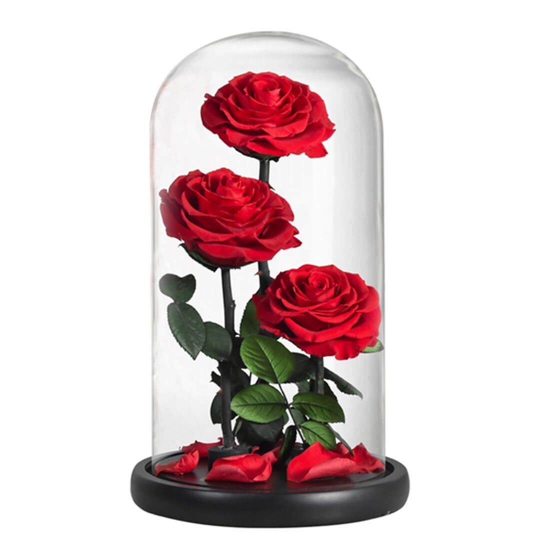 Grande Rose Sous Cloche (4) Grande Rose Sous Cloche 4 | The Luxury Box