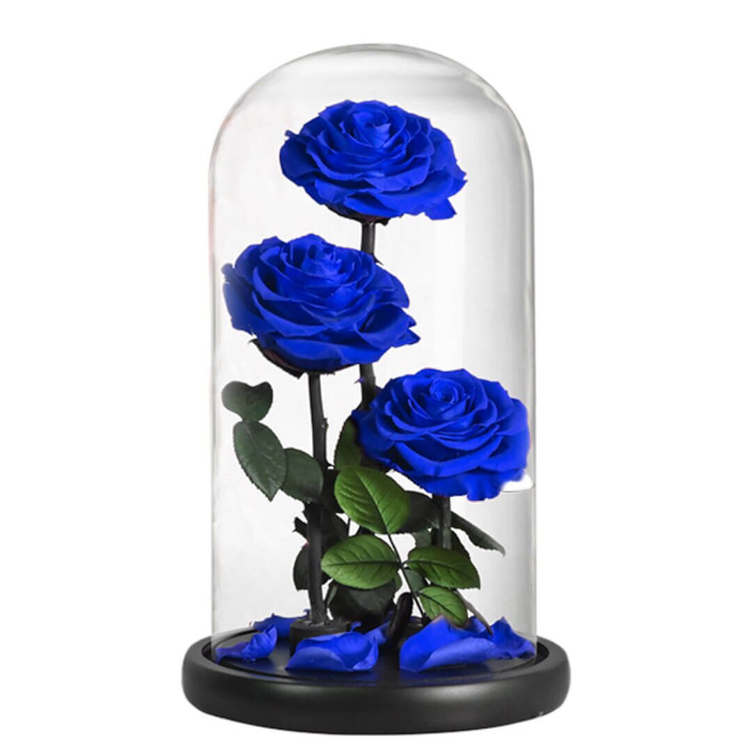 Grande Rose Sous Cloche (5) Grande Rose Sous Cloche 5 | The Luxury Box