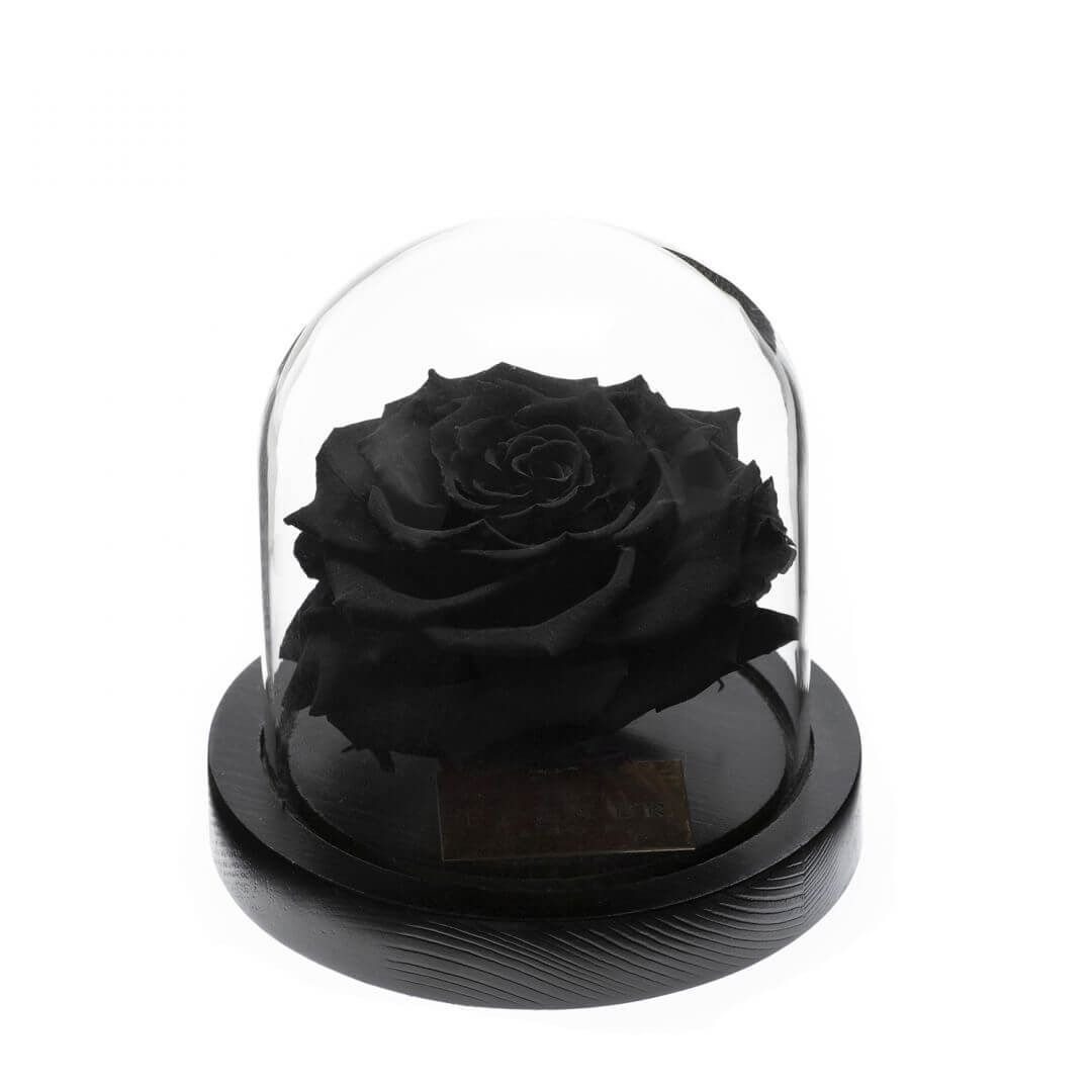 Rose sous Cloche (7) Rose sous Cloche 7 | The Luxury Box