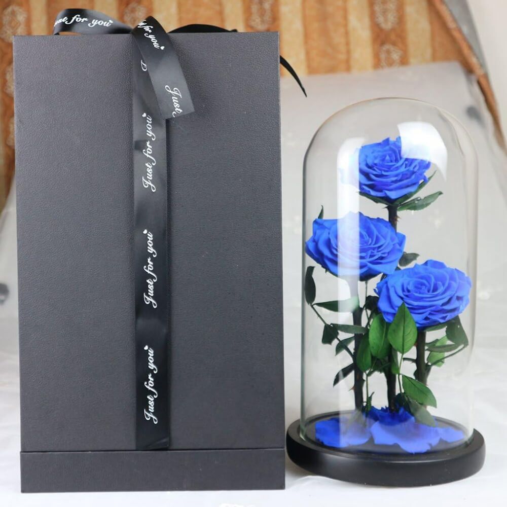 Rose Sous Cloche XXL (4) Rose
Deluxe Cloche