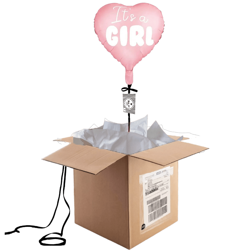 Ballon Gender Reveal (1) Ballon Gender Reveal 1 1 | The Luxury Box