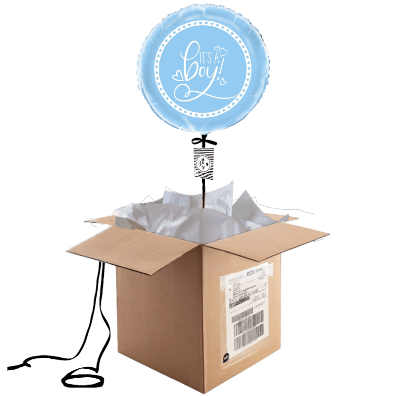 Ballon Gender Reveal (2) Ballon Gender Reveal 2 | The Luxury Box