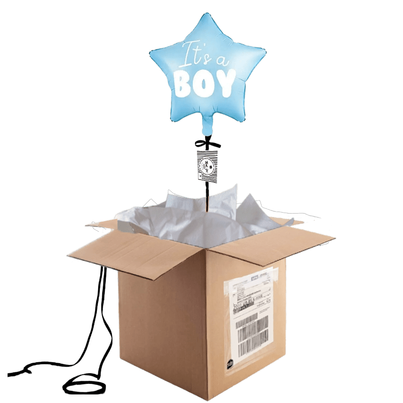 Ballon Gender Reveal (3) Ballon Gender Reveal 3 1 | The Luxury Box