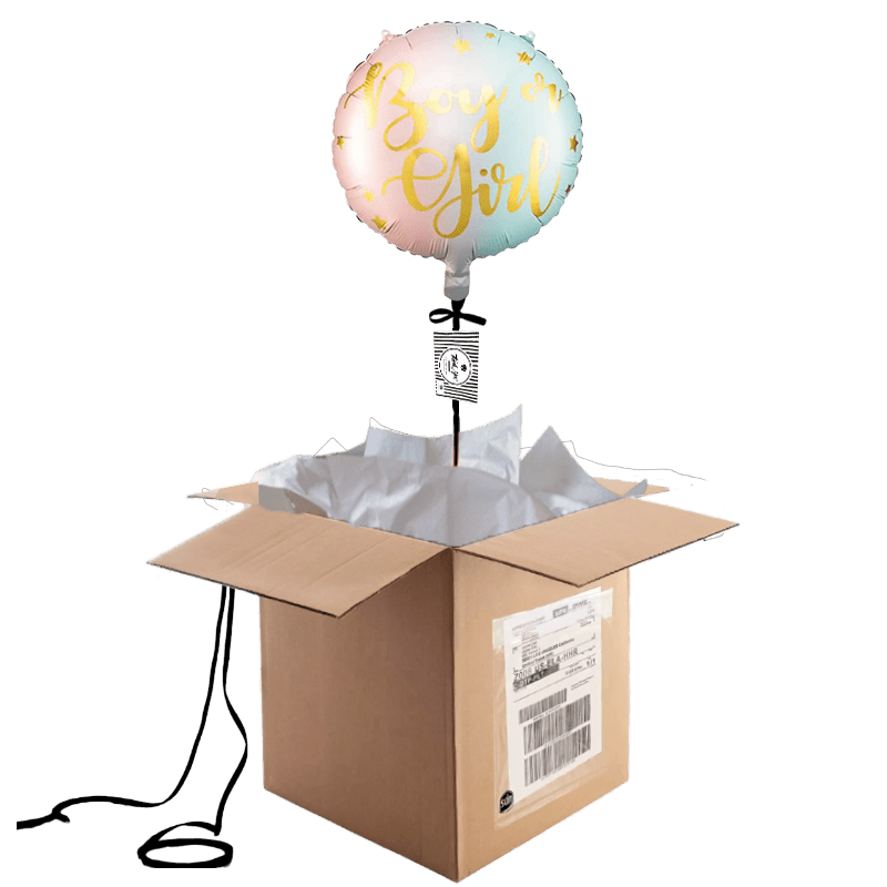 Ballon Gender Reveal (4) Ballon Gender Reveal 4 | The Luxury Box
