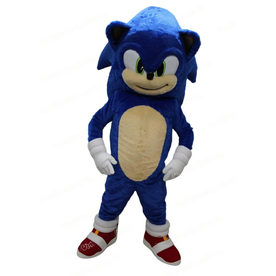 Costume-Sonic.jpg Costume Sonic | The Luxury Box
