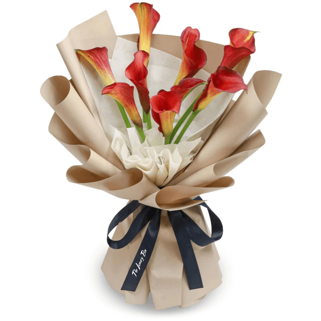 Bouquet de Tulipes Bouquet de Tulipes