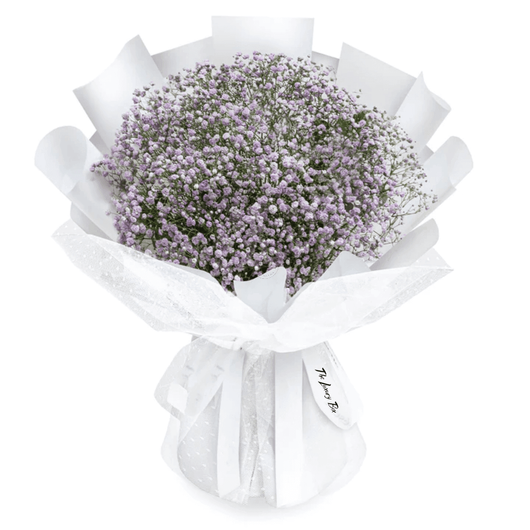 Bouquet de Gypsophiles Bouquet de Gypsophiles