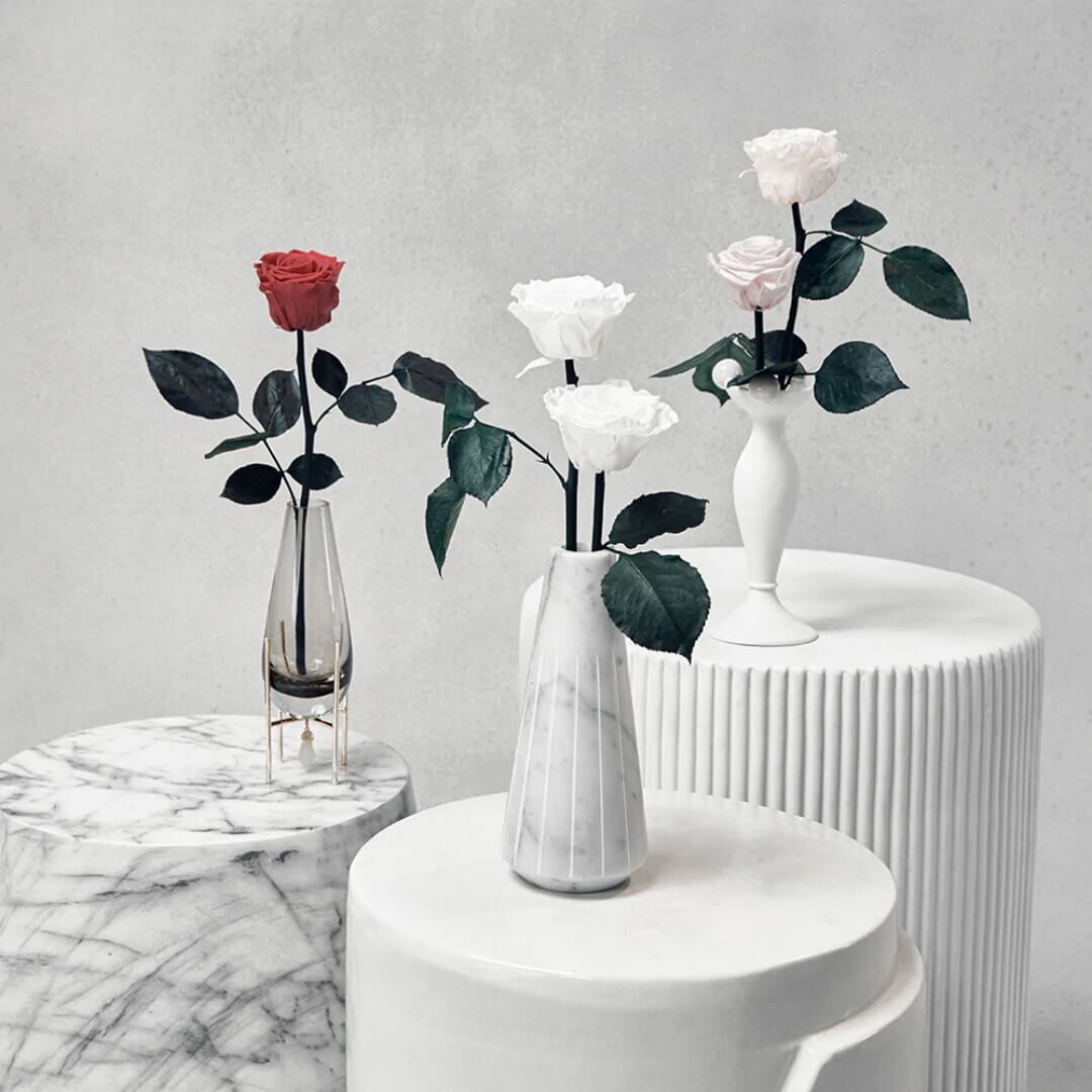 Pots de fleurs (2) Vase de fleurs