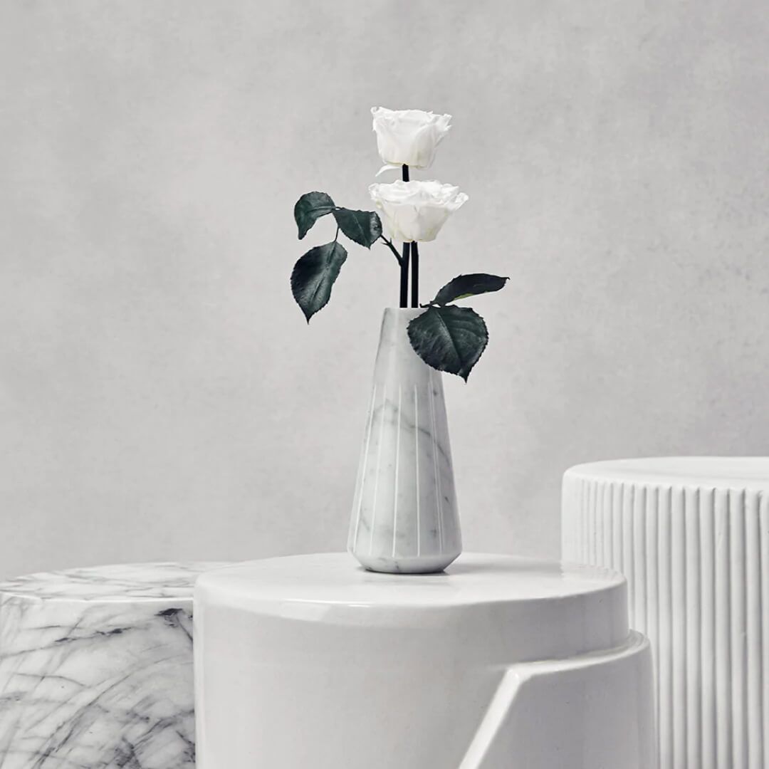 Pots de fleurs (3) Vase de fleurs