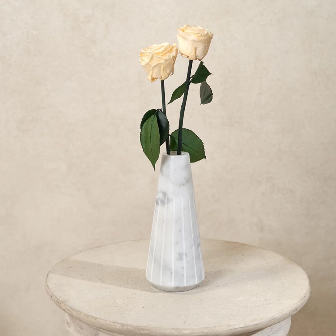 Pots de fleurs (9) Vase de fleurs